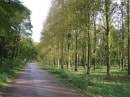 Eparcy